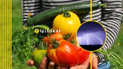 Овощи капризны к погоде