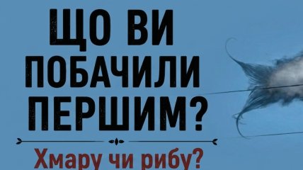 Что вы видите?
