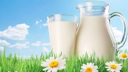 Производство молока за 8 месяцев снизилось на 2%