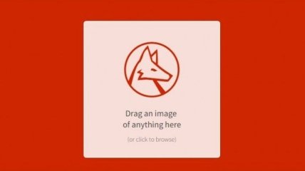Wolfram запустил сайт, говорящий что он видит на картинках