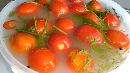 Квашеные помидоры