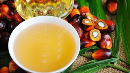Польза и вред пальмового масла для организма