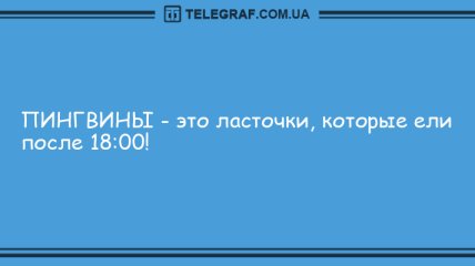 Заряд позитива: смешные анекдоты на утро