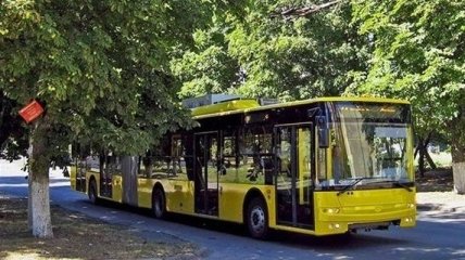 В Україні жодні перевезення не обмежуватимуть