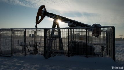 Цены на нефть начали рост после резкого падения