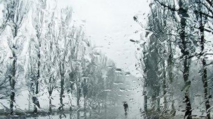 Погода в Украине на 23 декабря: в некоторых регионах - дожди
