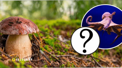 На Франковщине увидели "дьявольский гриб"