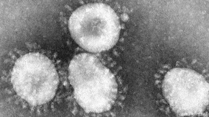 СЭС: В этом году появится новый для украинцев вирус гриппа