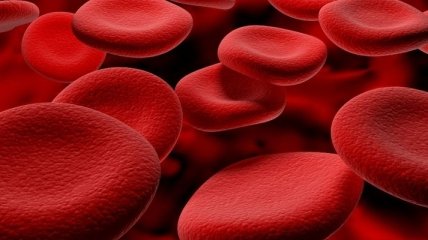 Как самостоятельно определить рак крови?