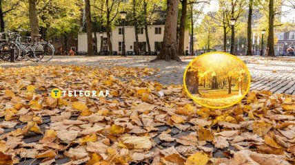 Погода в ноябре