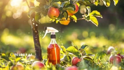 Яблуню треба обробляти від хвороб  (зображення створено за допомогою ШІ)