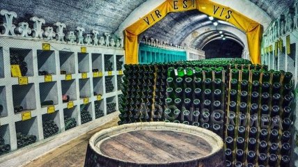 Оккупанты в Крыму выставили на продажу завод шампанских вин
