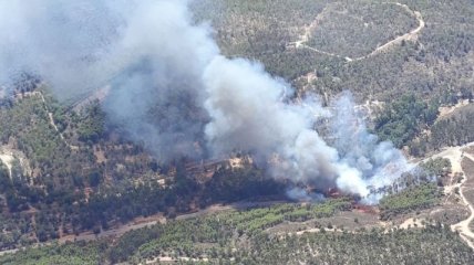 Огненная стихия: в следствие лесного пожара в Испании эвакуировали более 200 человек