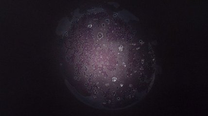 Фотографии наркотиков под микроскопом (Фото) 