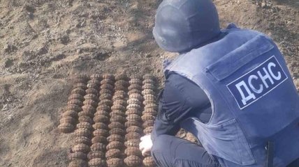На Одесчине на жилом участке обнаружили более 100 гранат времен войны