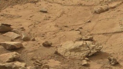 Что делает игуана на Марсе?