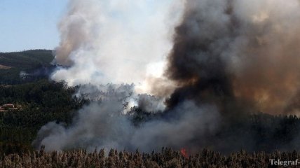 От пожаров на португальском острове Мадейра погибли 4 человек