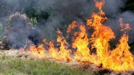 В Украине - высокая пожарная опасность