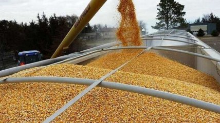 Вперше обмеження на імпорт зерна з України ухвалили у квітні