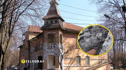 Институт растениеводства имени В. Я. Юрьева НААН