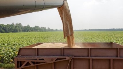 Минагропрод ожидает рекордного экспорта зерна