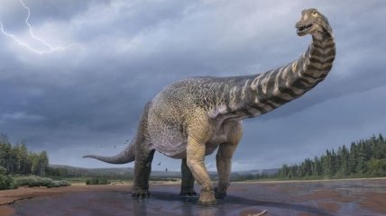 В Австралии ученые классифицировали новый вид динозавров-титанов "Australotitan cooperensis" (фото)
