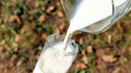 Отказ от молока может защитить от инсульта