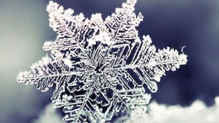 Погода в Украине на 1 января: во всех регионах страны - снег и мороз