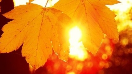 День Осеннего Равноденствия 2015. Волшебные обряды для благополучия этой осенью