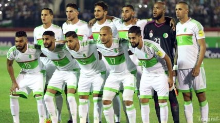 Сборная Алжира осталась без тренера