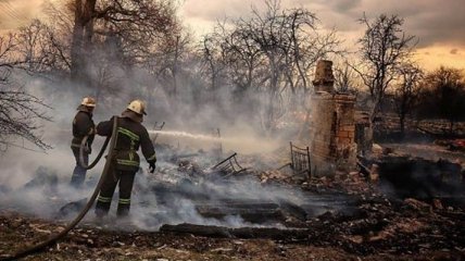 МВС розглядає дві версії виникнення пожеж на Житомирщині