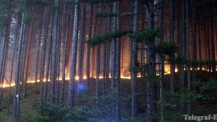 Свыше 40 лесных пожаров бушует в австралийском штате Квинсленд