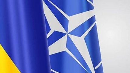 Депутаты создали в Раде объединение сторонников НАТО
