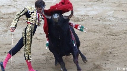 В Испании бык убил известного тореадора во время представления