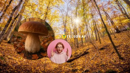 Белый гриб растет в украинских лесах