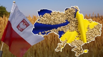 Скандал вокруг украинского зерна в Польше только набирает обороты
