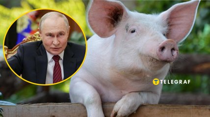 Владимир Путин и "подсвинок"