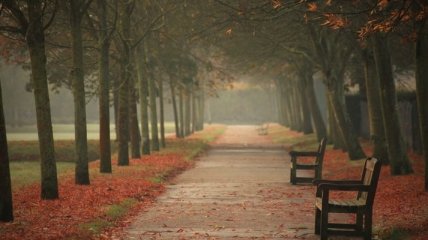 Осень: как не поддаться депрессии