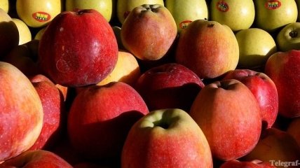 В Молдове открылся фестиваль яблок
