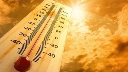 Аномальная жара в Европе побила температурные рекорды