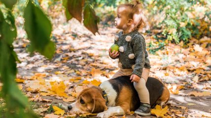 Ребенок играет с собакой