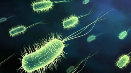 Ученые нашли бактерию возрастом более 2,5 миллиардов лет