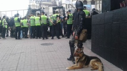 Полиция разогнала митинг против ЛГБТ-марша в Киеве, задержаны 20 человек