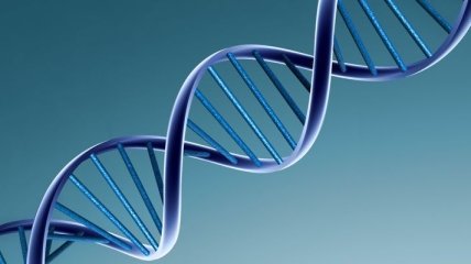 Генетики уверены: они в шаге от полного изменения генома