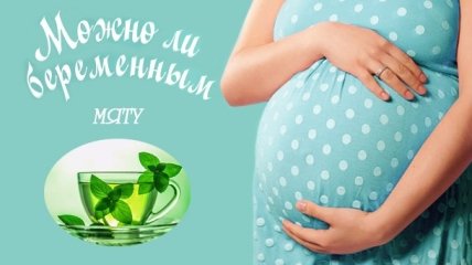 Мята при беременности: можно ли беременным пить чай с мятой