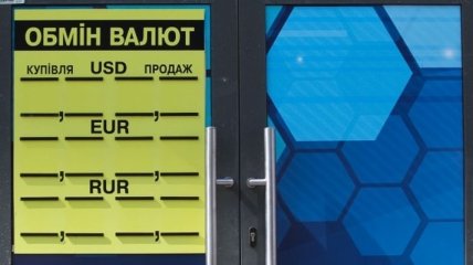 Официальный курс гривни: евро и доллар застыли на месте