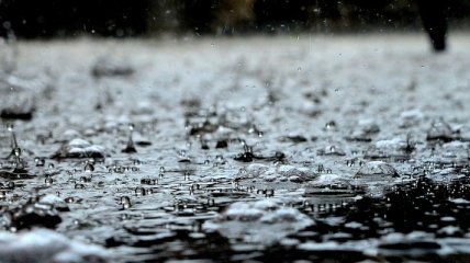 Погода на 20 лютого: В окремих регіонах України очікуються дощі