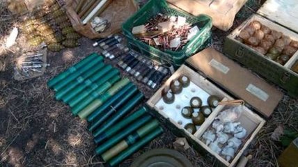 СБУ обнаружила арсенал оружия в лесном массиве на Донбассе