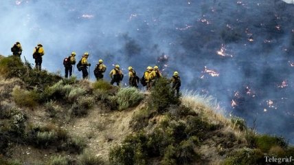Жара, засуха, сильный ветер: семь штатов США ввели "красный" уровень опасности из-за лесных пожаров