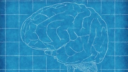 Ученые выявили участки мозга, ответственные за составление рассказов